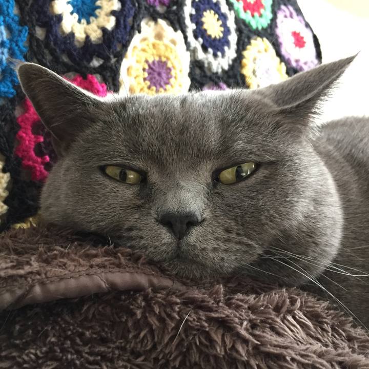 5e18be66 5ec2 4c8b bdea ad8c881016a4