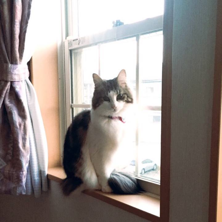 5e1918ea 47ea 4828 b5a3 0133555501c3