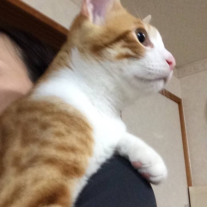 5e193809 ea39 4989 8998 6f80a5dd8a46