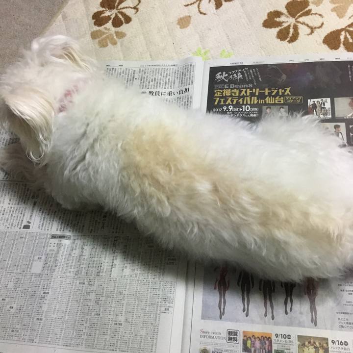 5e193b3b 2ac6 46d3 892e a97bbf3d5966