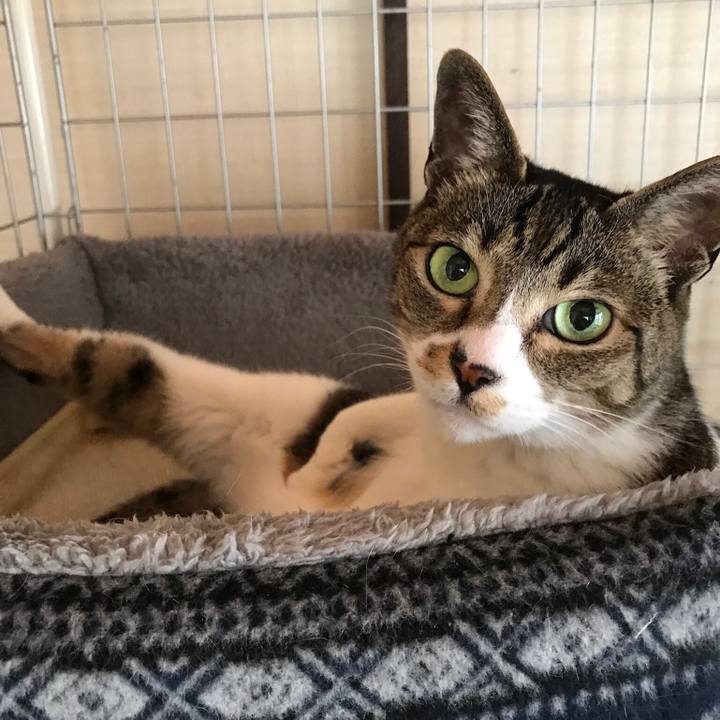 5e19a9ff cfeb 4155 8d64 e73e8af38fb5