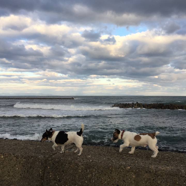 5e1a53d9 fed5 41ef bdf7 610f15f7a4d4