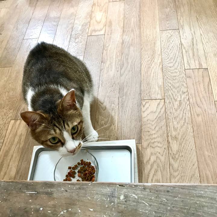 5e1ae15f 2ca1 465b 83e5 a9e7c1577774