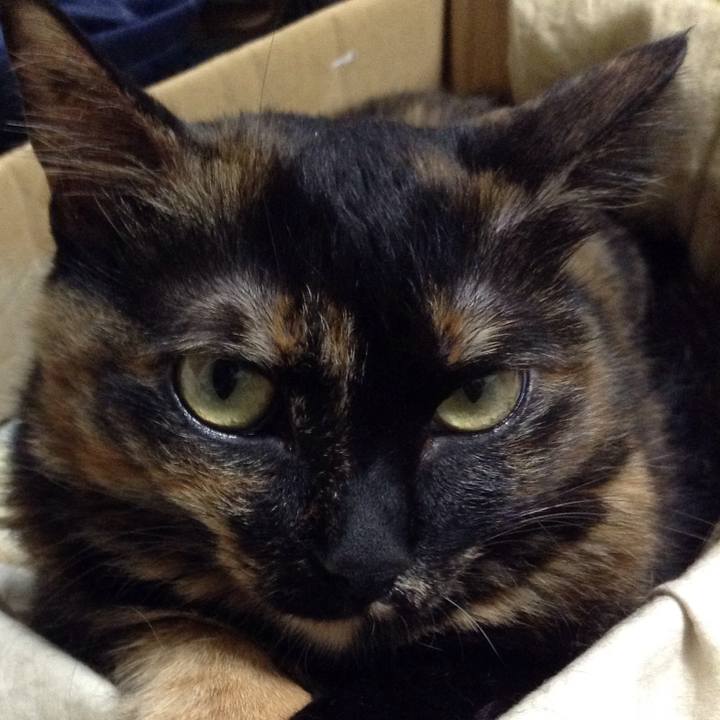 5e1b02e5 e12f 4bf7 8d9e 2092236dfccd