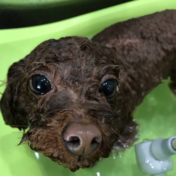 5e1be0db d201 462c 99c6 77aab9b379d2