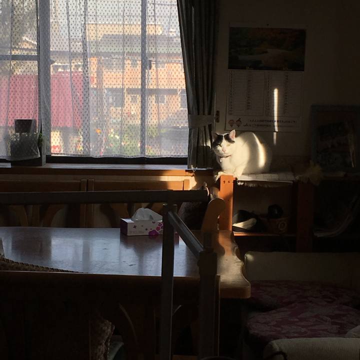 5e1c089d 9110 4118 bac0 0f7685d047ff