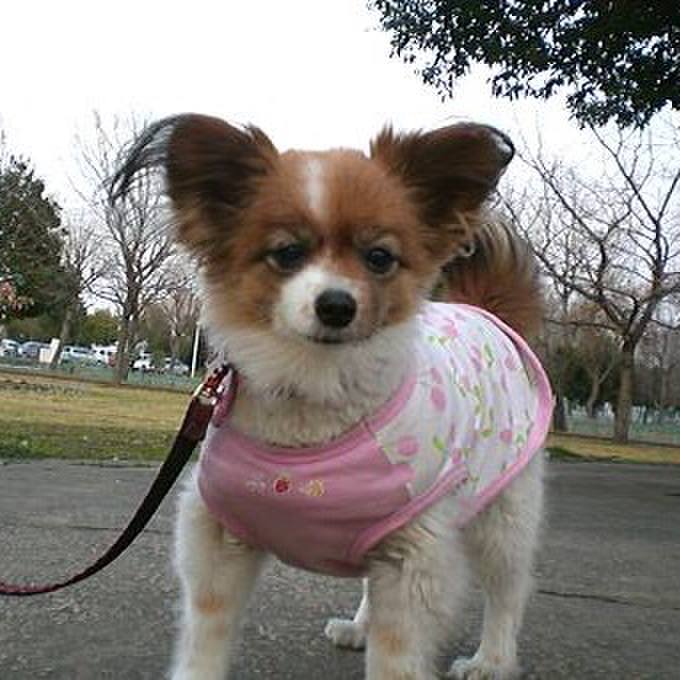 5e1c2095 bbe0 463d aff3 b64e62203ce6