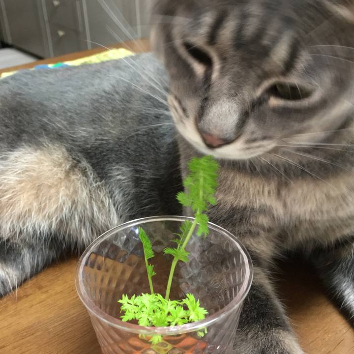 5e1cf95f 9f15 4a3e aad3 dab0c55ae362