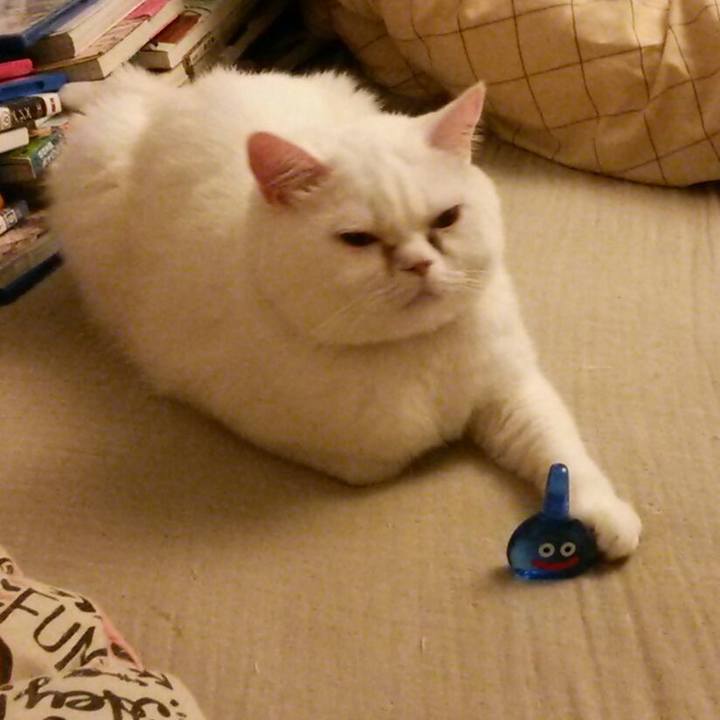 5e1d31c4 32f1 45bc 9663 767d326958be