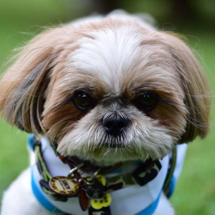 5e1dc869 3ddf 466b b42f 45bba65d8599