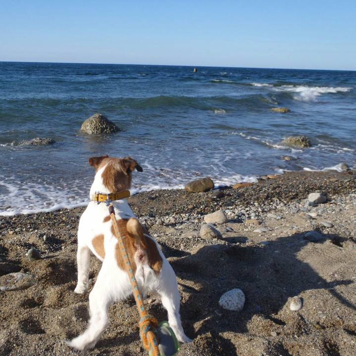 5e1ded0c d92c 4fc5 a259 83e463d9d12d