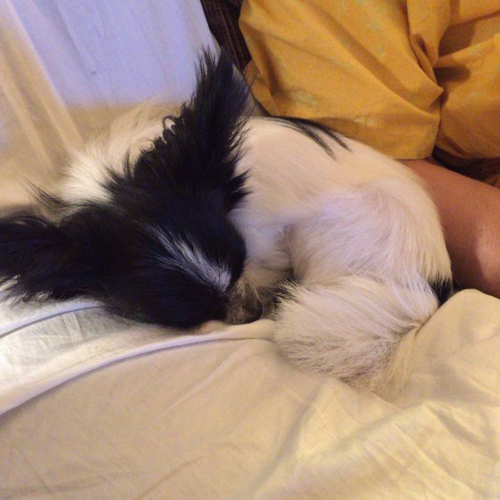 5e1e4987 c469 4442 b229 3057d65c3211