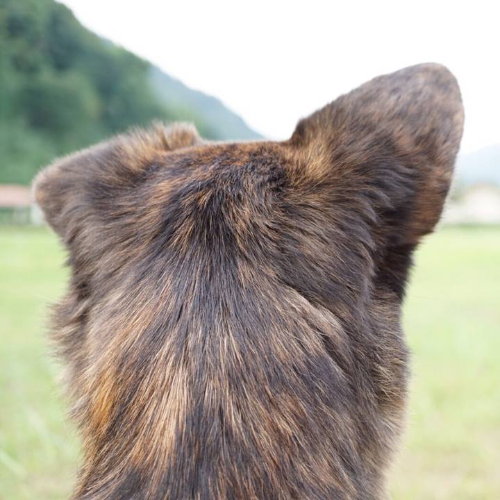 5e1eb4df 26a8 4f2f bb4e f2796b2e3228