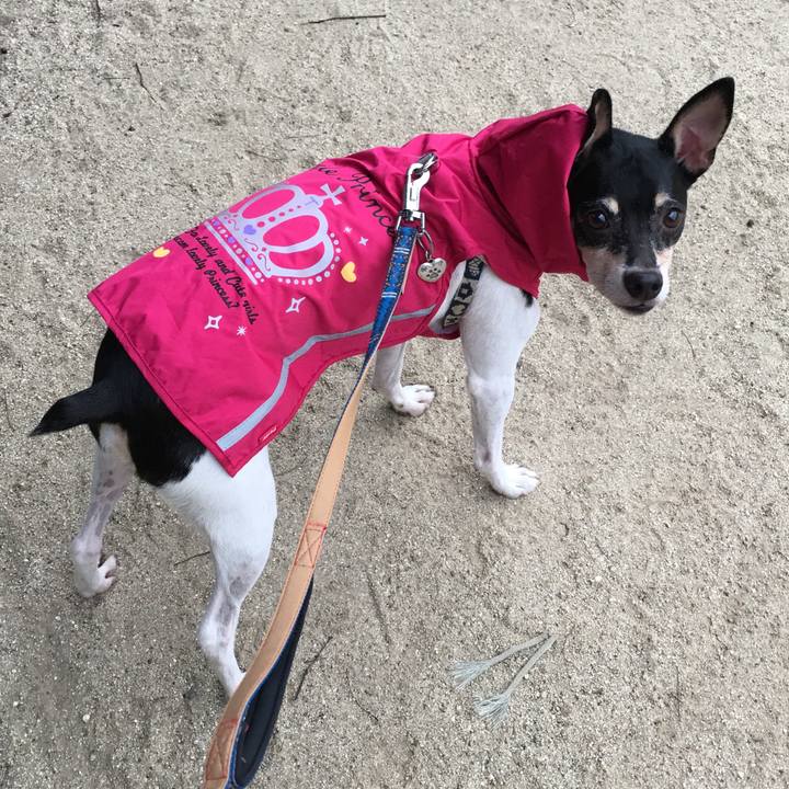 5e1f5aa2 cb73 47bc ab2f 6a27f64ca386