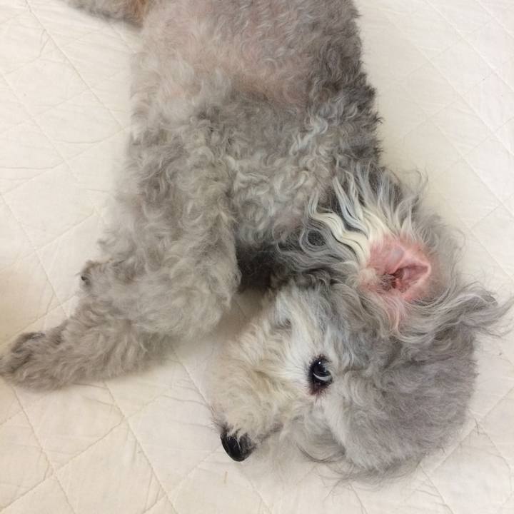 5e2073ca 41fc 46fc 9741 0fec8803ee08