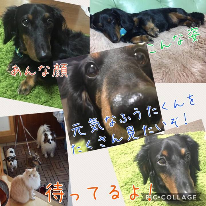 5e20c52b f94b 4318 a14a d515e16754e7