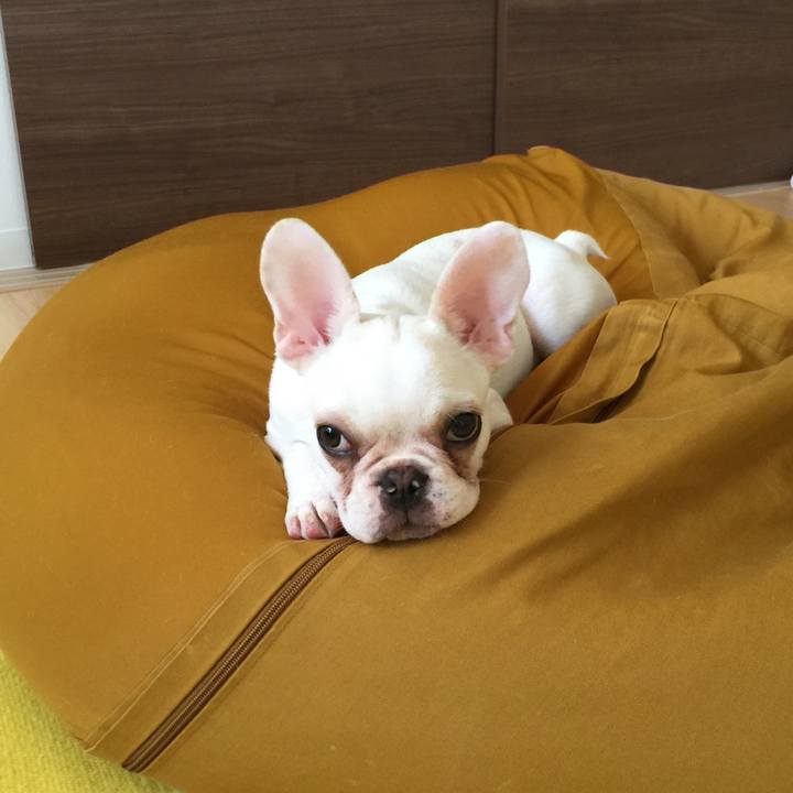 5e216ba6 5857 487e bf00 62e7abd614e4