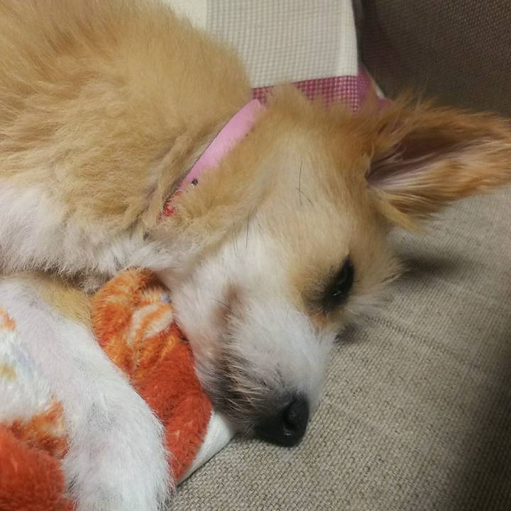 5e21f13b 2d96 4a75 ab24 c55fd56c6d35