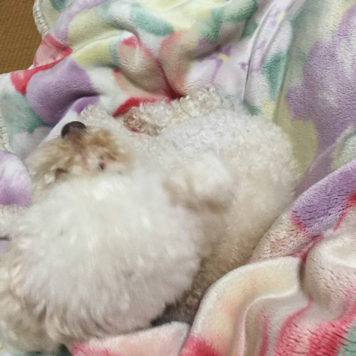 5e2265a2 332f 4958 8449 e50d69388b01