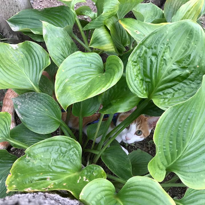 5e22be62 87f0 4d4f 92f9 295ac0742726