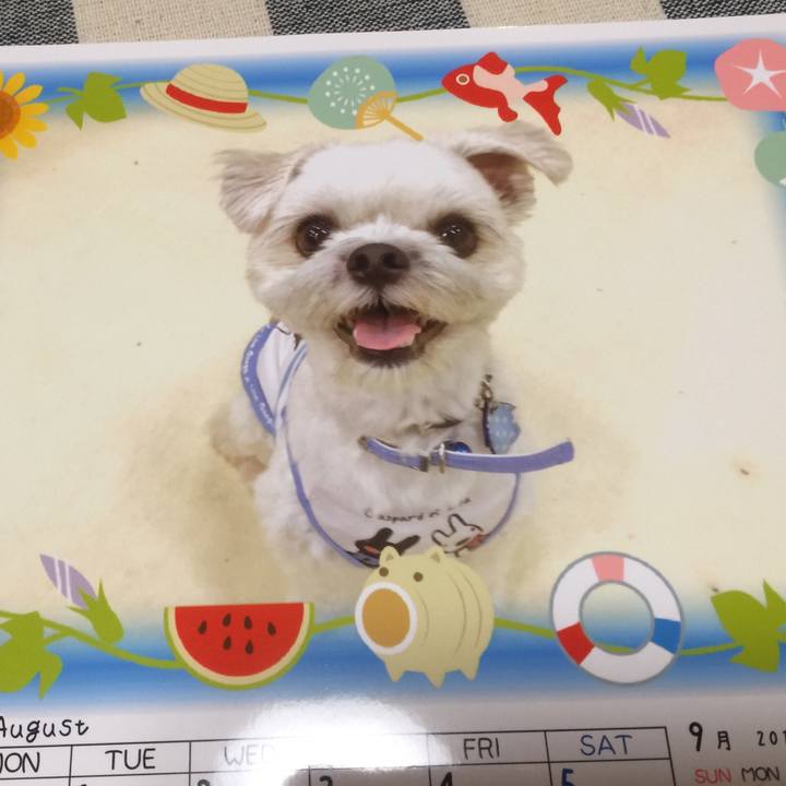 5e22bff3 e799 411d a418 3c7c187143bb