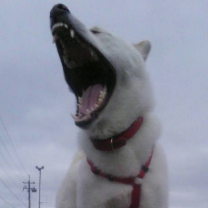 5e23f6fc 6f0f 497b 87b2 37da65ffc0f2