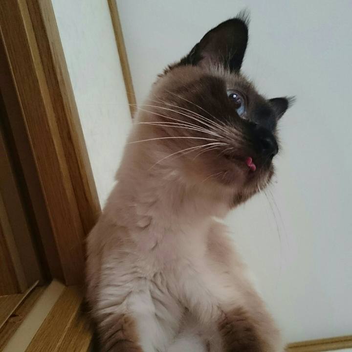 5e24089e 7140 49a5 a5ce 2c3336a993b4