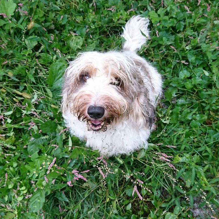 5e242f65 9f52 4f74 9182 4712f3e9ffc4