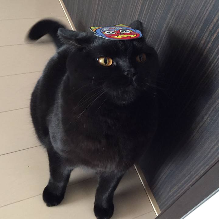 5e24d5ce af97 4dc3 9fd9 c3ba22cbba55