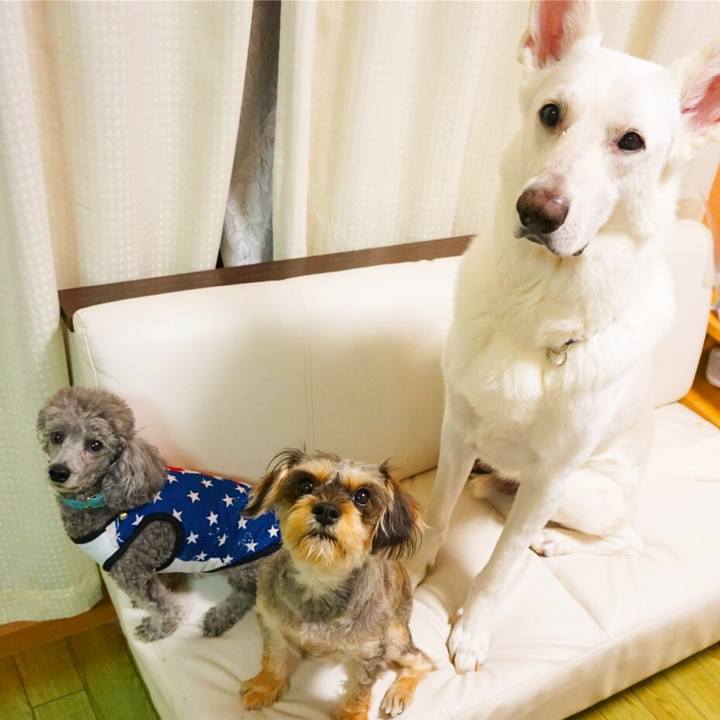 5e24eecd 35fe 473a b79d 8d938ea199d2