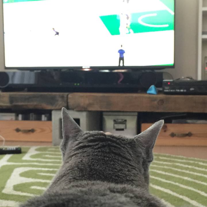 5e251cd8 1dd9 4e07 b758 e15721b90cf2