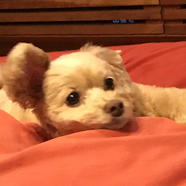 5e25873b 1282 42cd ab9f b765f036dabf