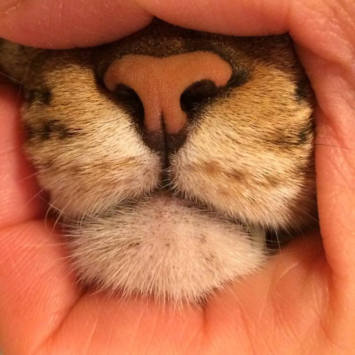 5e259785 ecf0 41d3 809c 5319e4c4b227