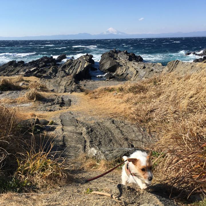 5e26272b 59c9 42d5 9b58 0510ba1e7022