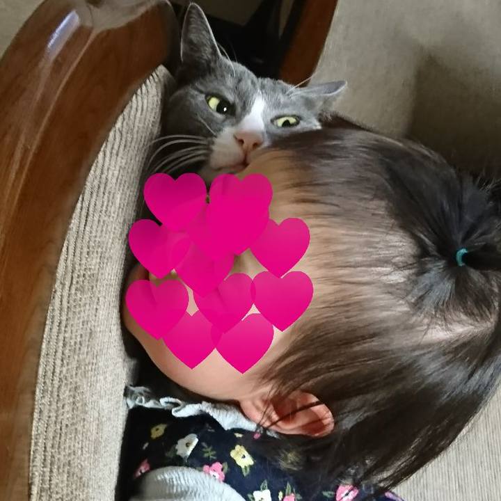 5e26fc5b dd66 41bc 880a 391d2533e250