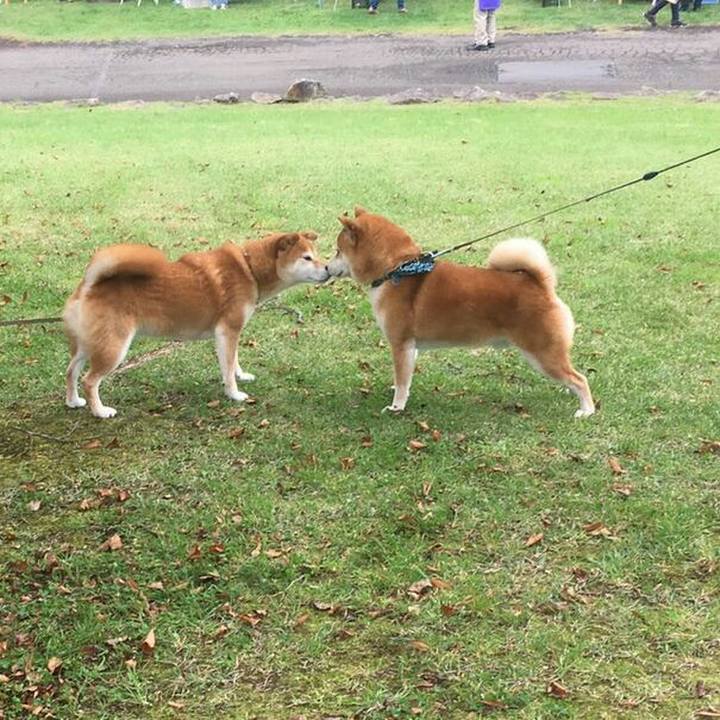 5e270442 89fd 48c2 9b52 3580446963c4