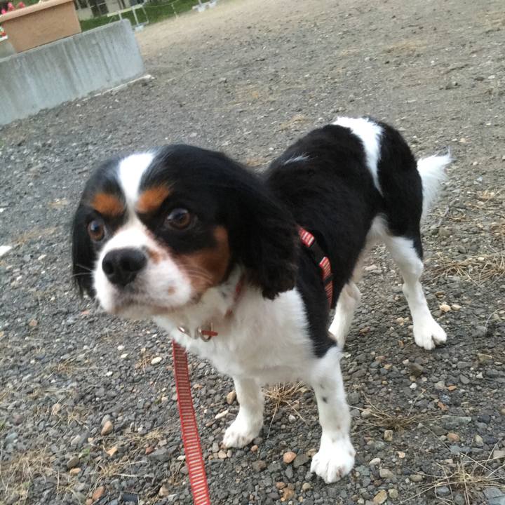 5e271315 48b4 466e 8528 7915bdf670ef