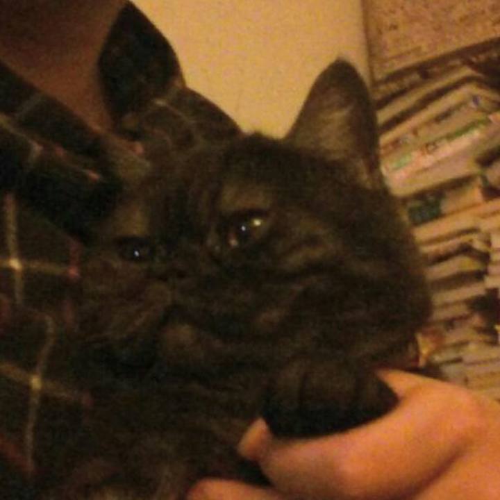 5e271e51 9186 435a 8f3b 1f73285675c8