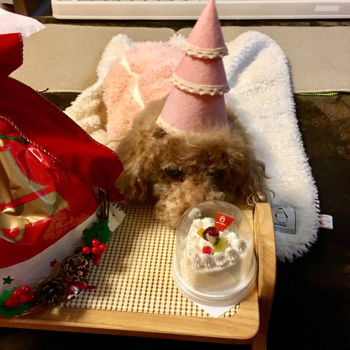 5e27b92a 269a 4b01 9ca5 ff76b8195cc9