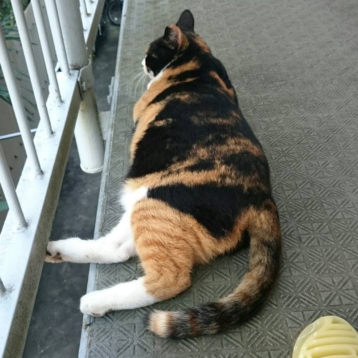 5e28d425 c6c0 4e4e 8103 85febe21d18d