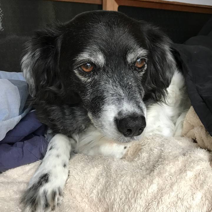 5e29bf97 fe67 40c0 b26c 0c67c22eab66