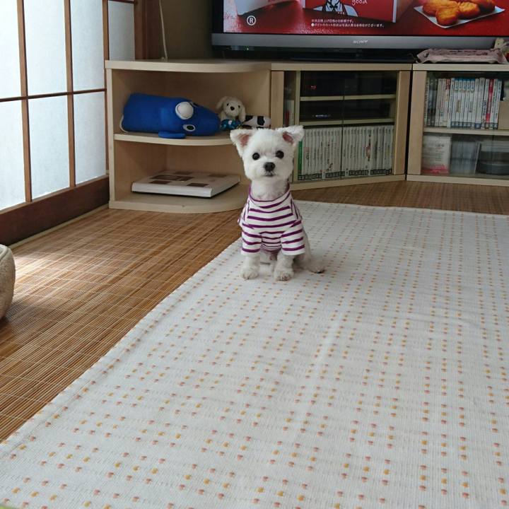 5e2a34d2 6b30 44ff a608 f1a5b3c09a5b