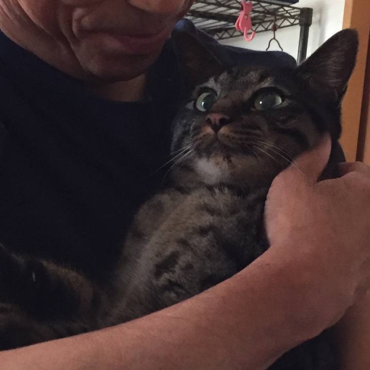 5e2baab1 81a5 4a9b 9bab b20fb16e38d7