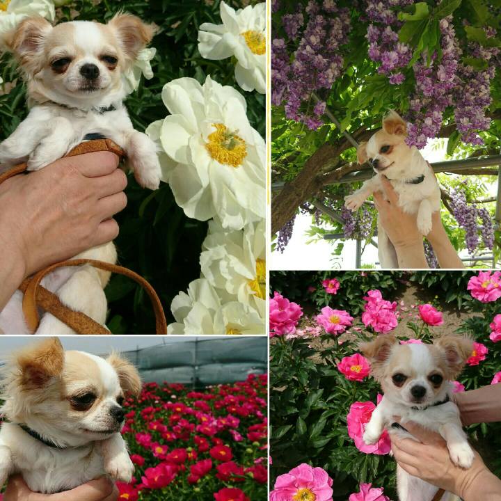 5e2bc4e6 d657 4d1a 8bf6 2885c3a6e65c