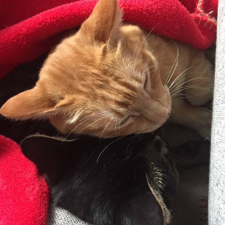 5e2c60ef df02 4612 b243 0c5d4752f681