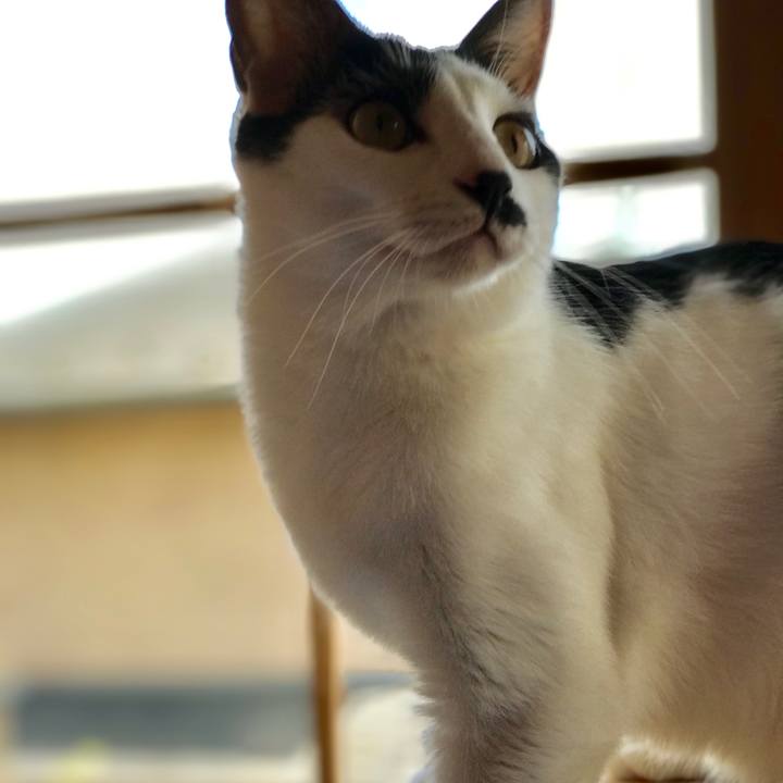 5e2c6b52 1899 4dd9 bcc1 9bbe2f3892cb