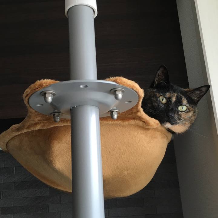 5e2cf7b6 a398 4886 8fdd dea46bcee3cc