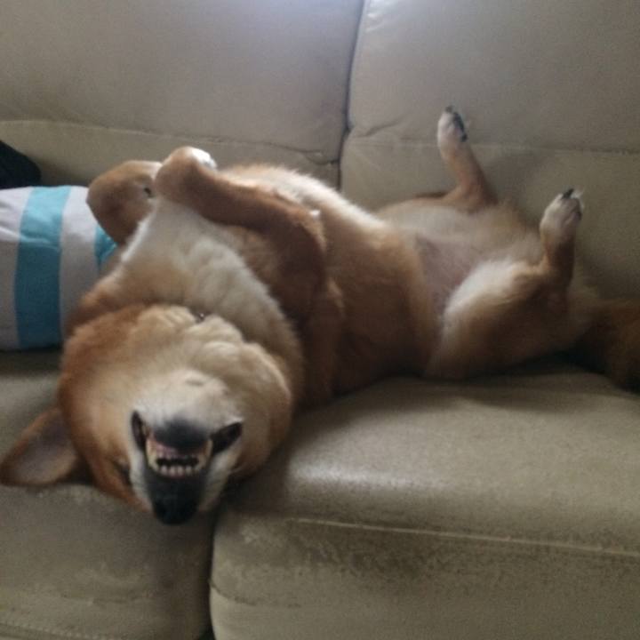 5e2df95a 148b 42af 8cdd ba4146f1c3a8