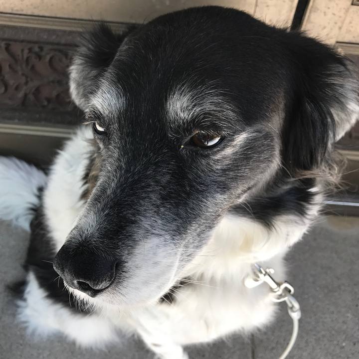 5e2e03fe 2337 4086 b9d7 a10bb47b1c65