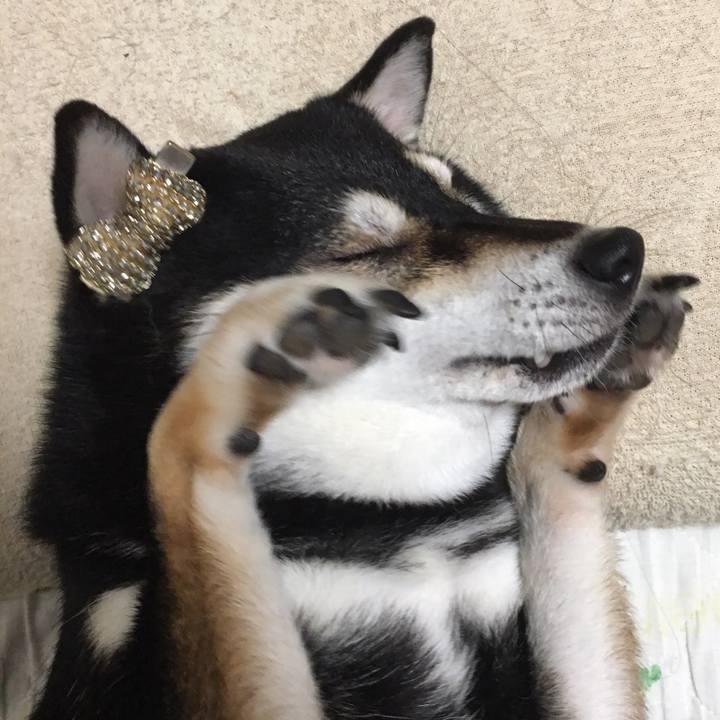 5e2e97a5 16a9 447f 8678 632cb313386f